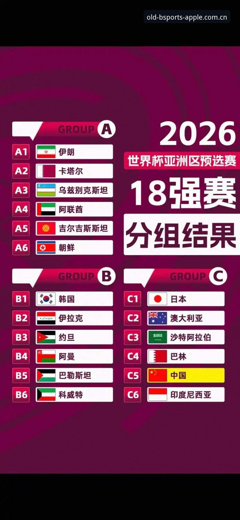 U17世界杯抽签结果深度分析:中国男女足前景全面解析